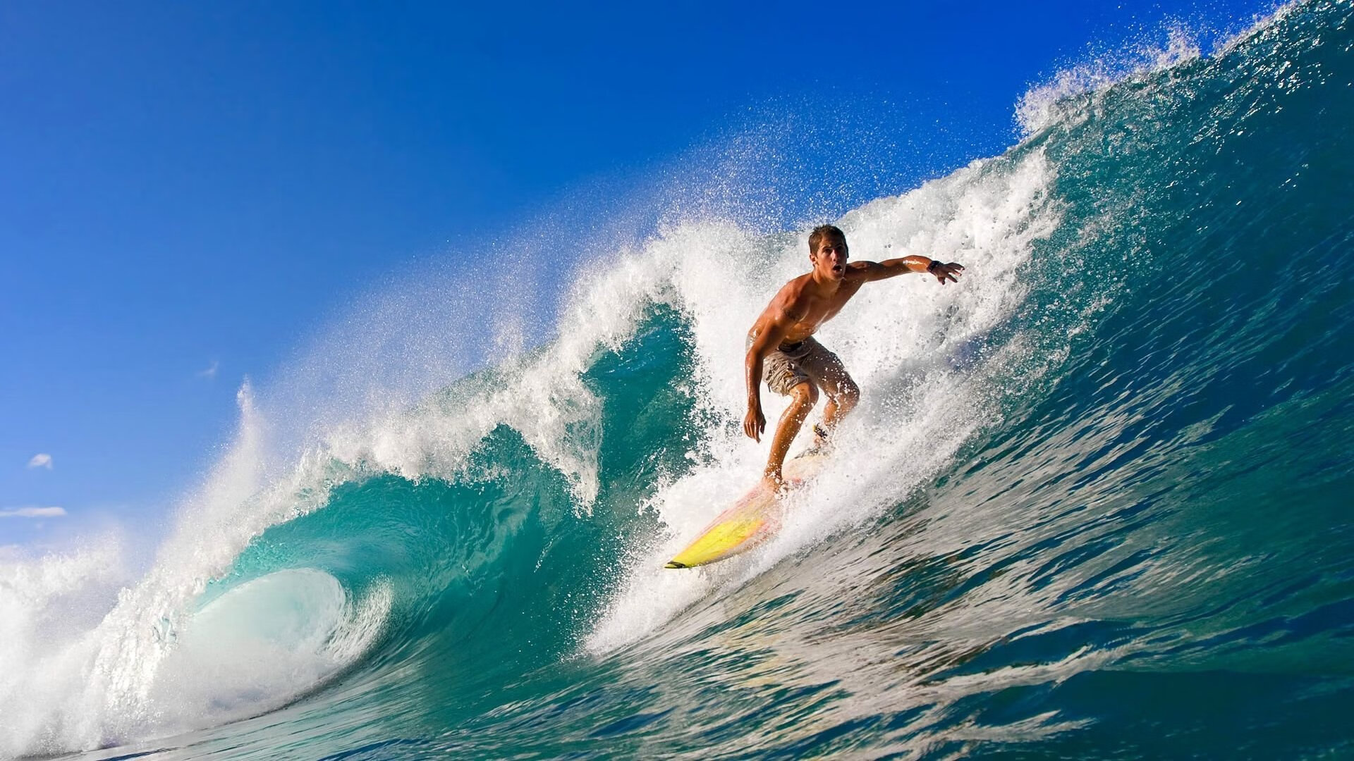 雷霆战术压制辽宁队，文班亚马全程高能输出